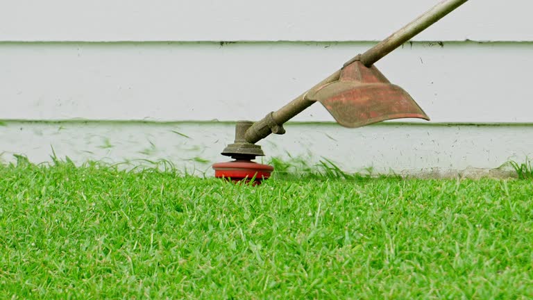 Lawn Pest Prevention in Parkville, PA